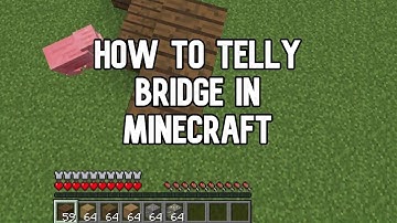 [Tutorial] How to Telly Bridge in Minecraft!