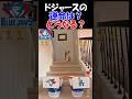 【ワールドシリーズ占い】お犬様が選んだのはドジャース?