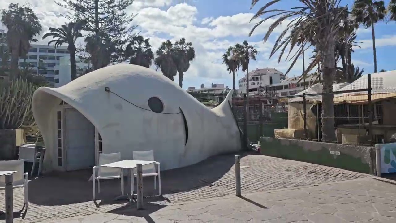 Windy Walk 3.3.2026 Playas Las Vistas Camison Americas Troya