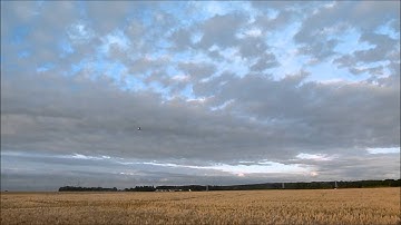 Walkera mini cp brushless