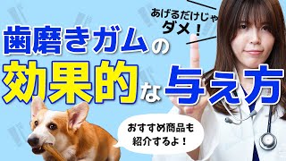 犬猫の飼い主の9割が知らない獣医師が薦める歯磨きガムの与え方！おすすめのガムも教えます！