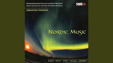 Serenade for String Orchestra in G Major, Op. 11: I. Prelude. Allegro molto
