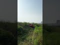 Tall wild grass? Steep hills? Piece of cake for it!