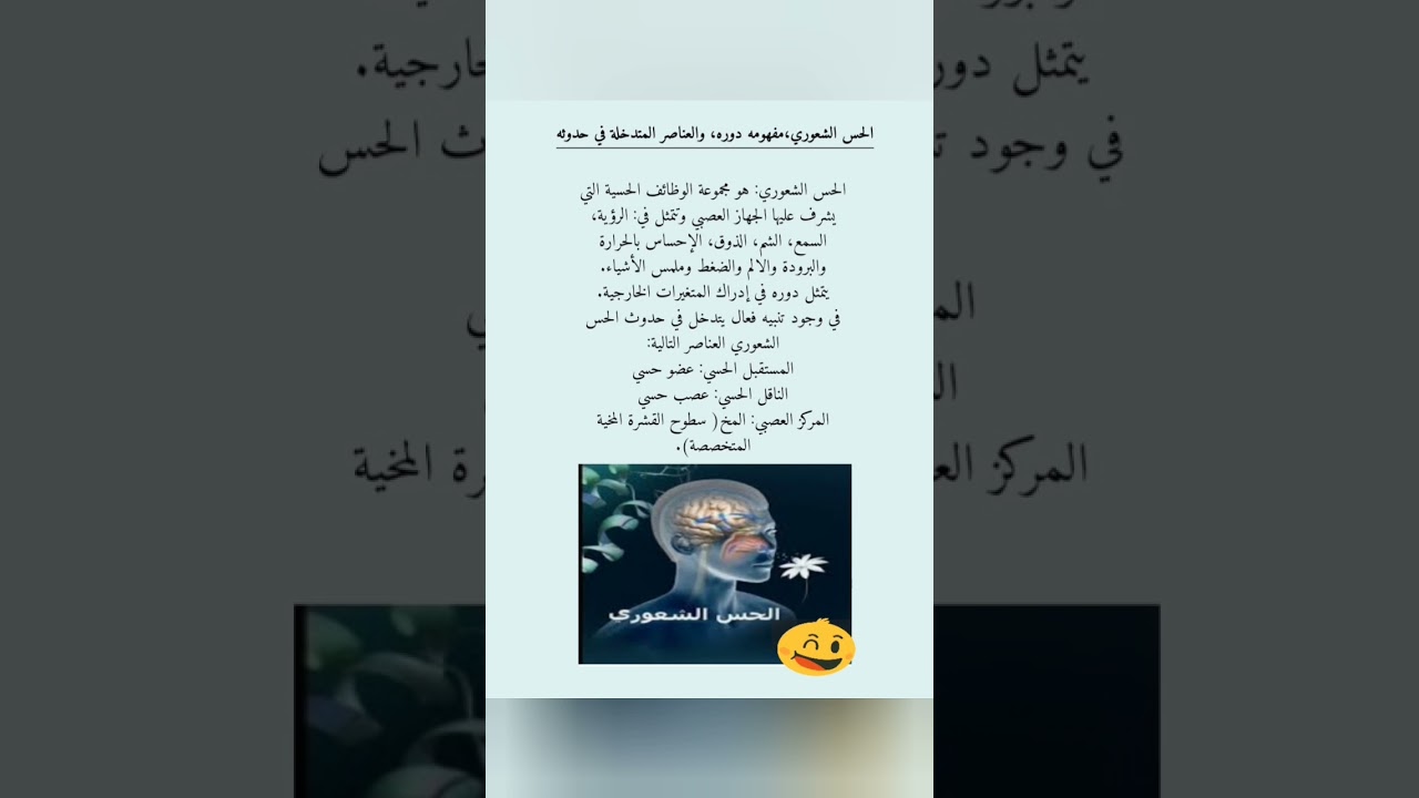 الحس الشعوري، مفهومه، دوره، العناصر المتدخلة في حدوثه.