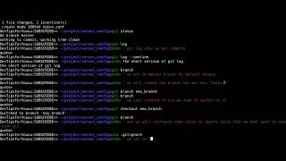 Git Branch Isolation Tutorial: Why Uncommitted Files Follow You, Stash vs Commit, and .gitignore