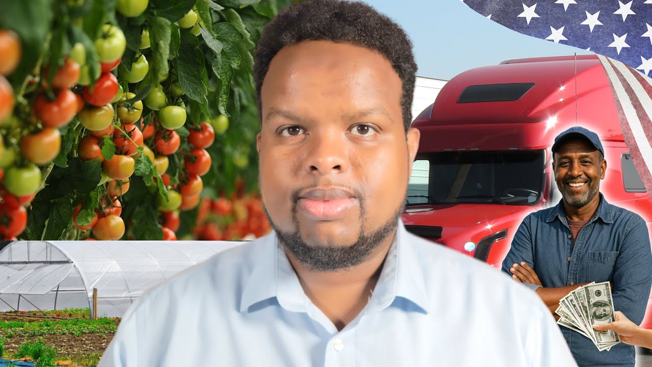 GREENHOUSE BISHII SOO SAARI KARA 1500 DOOLAR 