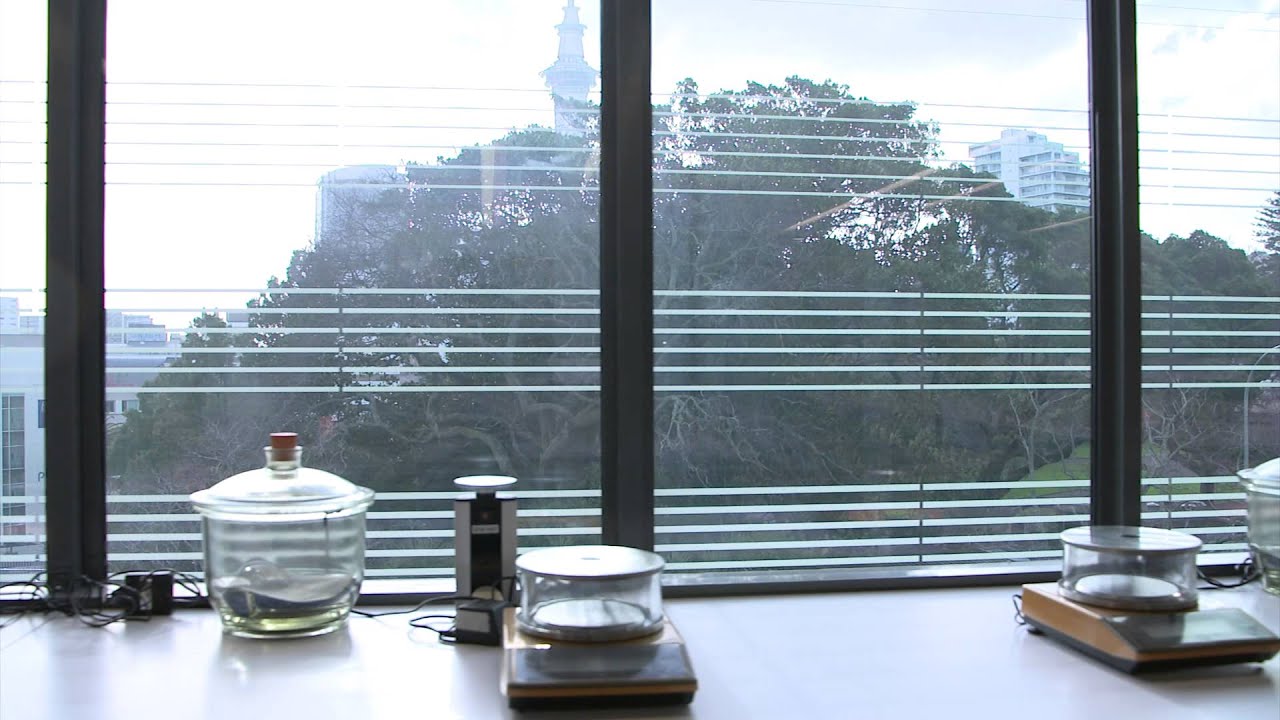 award winning chemistry laboratory youtube