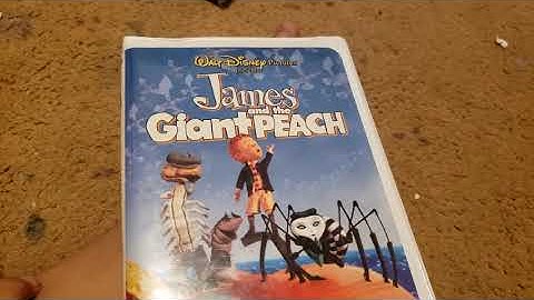 VHS  Collection in a nutshell part three