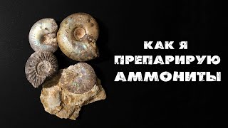 видео: ПРЕПАРИРУЮ АММОНИТЫ | Делюсь опытом картинка: ПРЕПАРИРУЮ АММОНИТЫ | Делюсь опытом