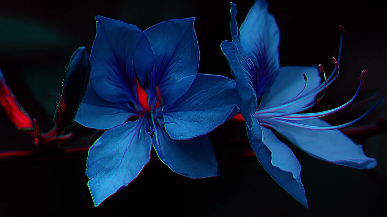 CRUDE - dirty ambient x Fred again x Pluko type beat