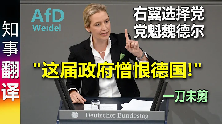 德国选择党AfD党魁魏德尔联邦议院上慷慨陈词: "这届政府憎恨德国!" | 一刀未剪 AfD Dr. Weidel about this government - 天天要闻