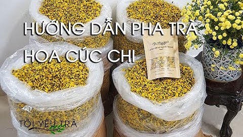 Hoa Cúc Chi Hưng Yên - Hướng Dẫn Pha Trà Hoa Cúc Chi