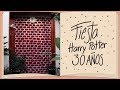 Fiesta de 30 años HARRY POTTER
