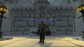 Human Heritage Armour Dragonflight, Paladin Arreatt