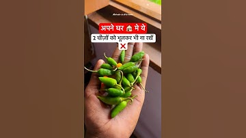 घर की बरबादी का कारण बन सकते हैं ये 2 चीज़ें #upay #pradeepmishra #video #trending #viralvideo #shiv