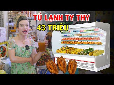 Video Ty Thy mua tủ lạnh 43 triệu đựng khô cá lóc và xoài... - youtube