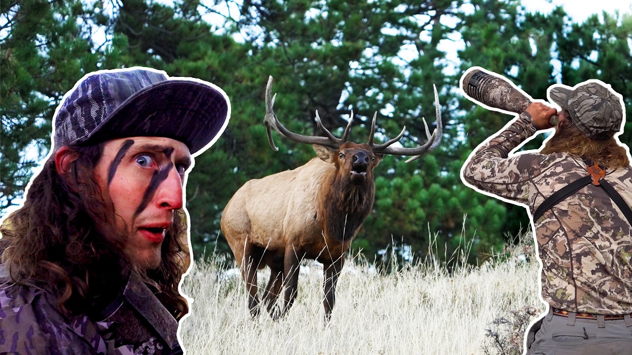 Should You Be CALLING to PRESSURED ELK??? (Shooter Bull at 12 yards!)
