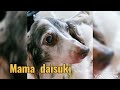 Mama daisuki♥(さぶろうじいちゃんは、ママの事が大好きです)