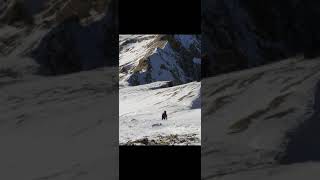 Emler Batı Rotası -Alpin Tırmanış