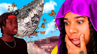 BUTTERFLIES Are Actually Spawns Of SATAN