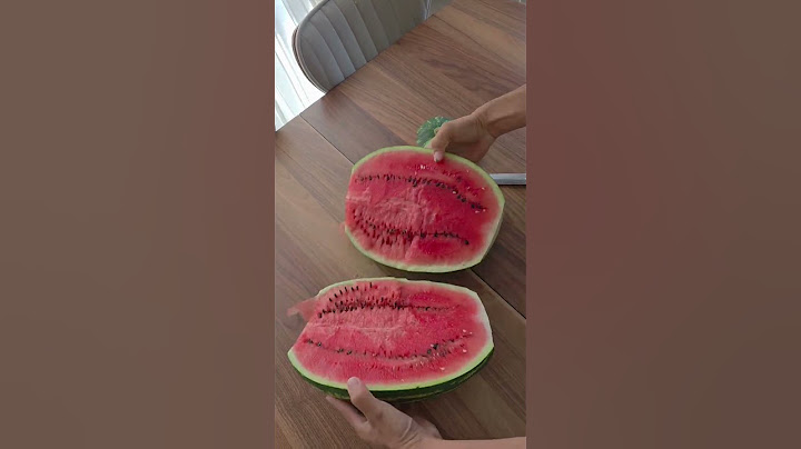 Chatgpt'ye karpuz seçtirmek. #AI #reklamdeğildir #nature #meyve #fruits #karpuz #doğa #yapayzeka
