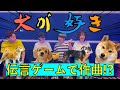 圧倒的犬派のバンドが分業制で曲を作る | 高村風太のハチャメチャムービー