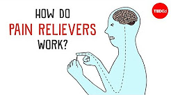 How Do Pain Relievers Work? - George Zaidan