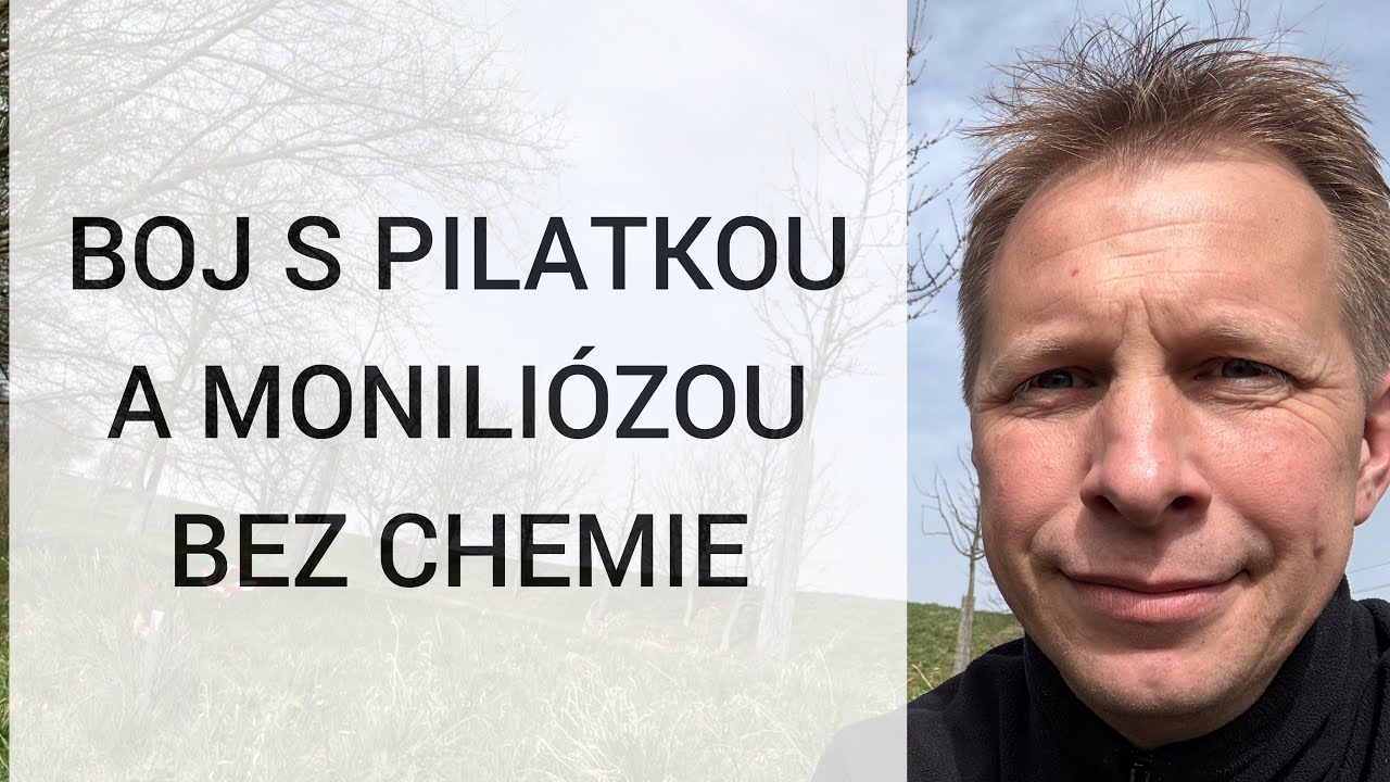 ⛔️ Zastavte červivost švestek a třešní ⛔️ BEZ CHEMIE 🌳Monilióza 🌳 Výživa 🌳 Řez 🌳 HODINOVÝ SADAŘ🌳