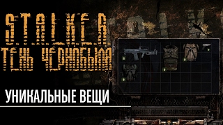 Уникальные вещи в S.T.A.L.K.E.R. Тень Чернобыля(Переделанные в один старые видеоролики про Тень Чернобыля. Версия игры - 1.0006 Локации: 1:05 - Кордон 4:04 - Свалка..., 2016-11-20T10:35:40.000Z)