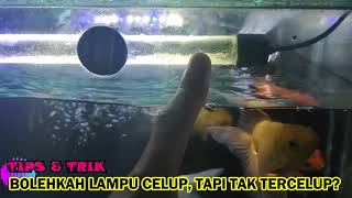 BOLEHKAH LAMPU CELUP TAPI TAK TERCELUP?