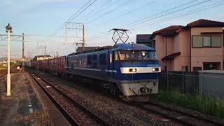 [新塗装の試作機]JR貨物 EF210-901[岡] 1093レ 西小坂井駅到着