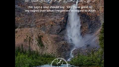 قرآن كريم بصوت جميل جدا 💚 سورة الزمر محمد عبادة