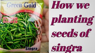 How We Planting The Seeds Of Singramunjry Ka Bejh Lgany Ka Triqa