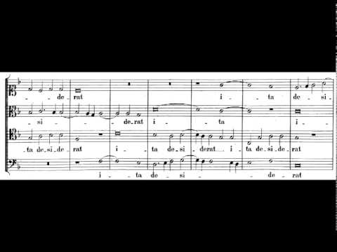 Palestrina - Sicut Cervus