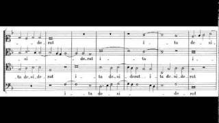 Palestrina - Sicut Cervus chords