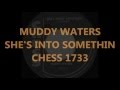 MUDDY WATERS SHE S INTO SOMETHIN CHESS 1733 mp3