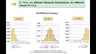 Binomial Distribution