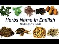 ✔18+ Unbelievable List Of Herbs With Pictures And Names