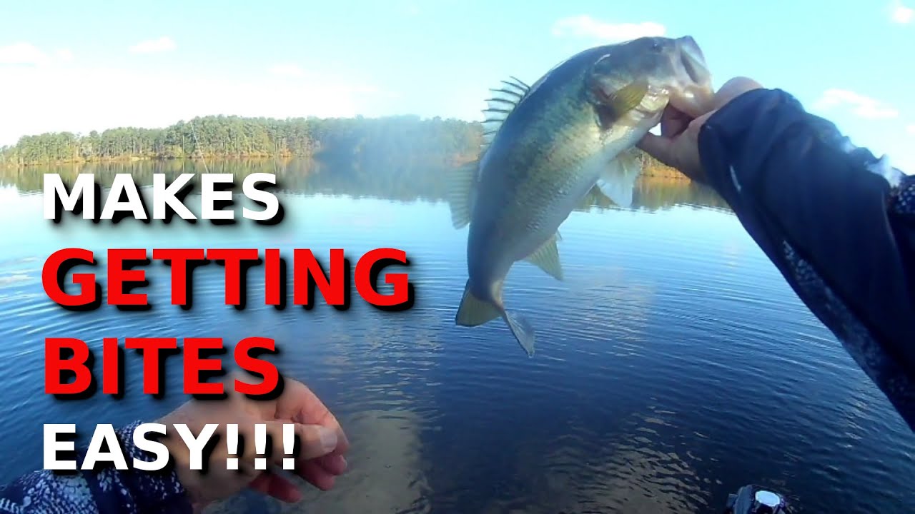 Get BIG BITES On The TOUGHEST Days!!!!!