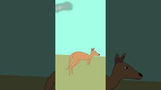 Kangaroo | 🦘 | Toon Boom Harmony Short