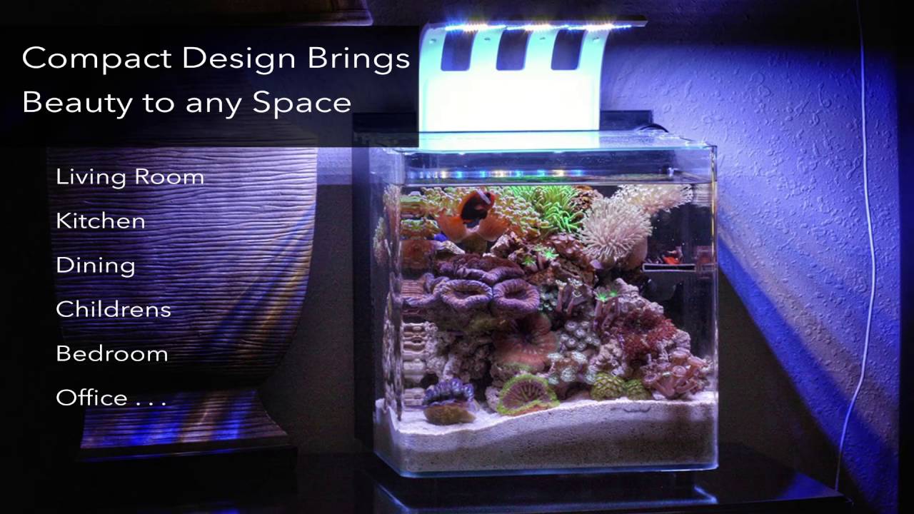 Cad Lights Mini Aquariums