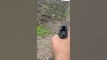 Sig sauer sp2022 rear sight is off the the left a bit still accurate#sigsauer #sp2020