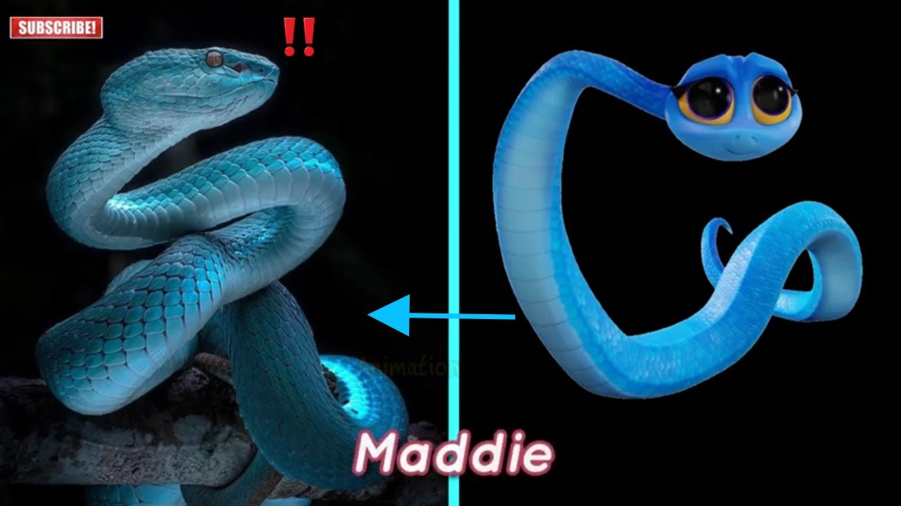 Back To The Outback Characters In REAL LIFE L Look At The Maddie YouTube Back to the outback characters in real life l look at the maddie youtube