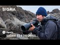 SIGMA 500mm F5.6 DG DN OS | Sports - Wildlife Photography at the Ocean's Edge with Guillaume Bily