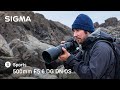 Wildlife Photography at the Ocean&#39;s Edge with Guillaume Bily - SIGMA 500mm F5.6 DG DN OS | Sports