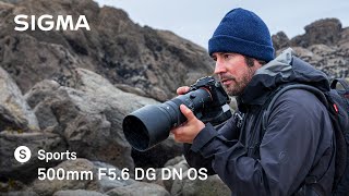 SIGMA 500mm F5.6 DG DN OS | Sports - Wildlife Photography at the Ocean's Edge with Guillaume Bily