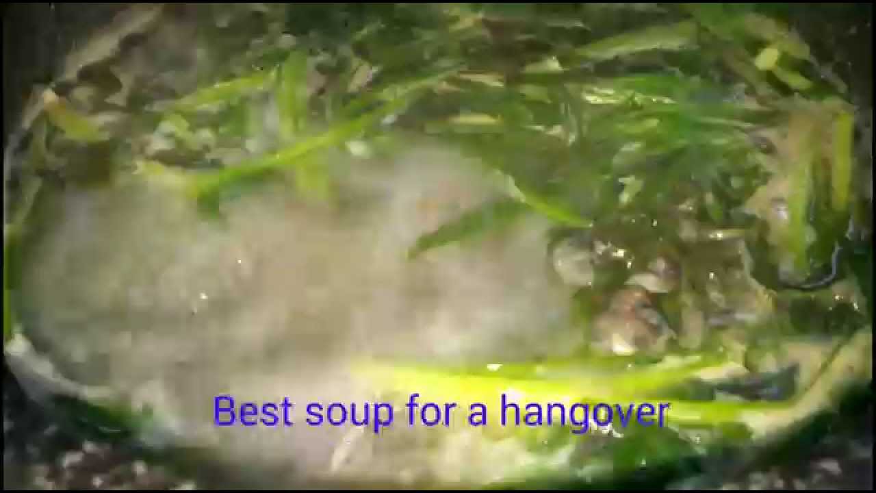 서오릉 다슬기 Marsh snail soup best soup for a hangover LG G3 Screen YouTube