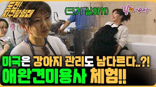 [도전지구탐험대] 미국은 강아지 관리도 남다르다..?! 애완견미용사 체험!! | KBS 1999.10.31