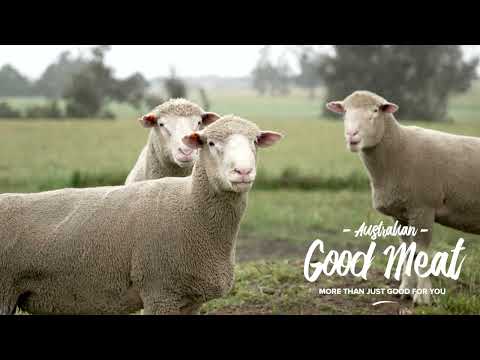 Every single sheep matters