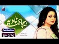 Watch Bechari Nadia Episode 57 & 58 - ARY Zindagi Drama Online In HD